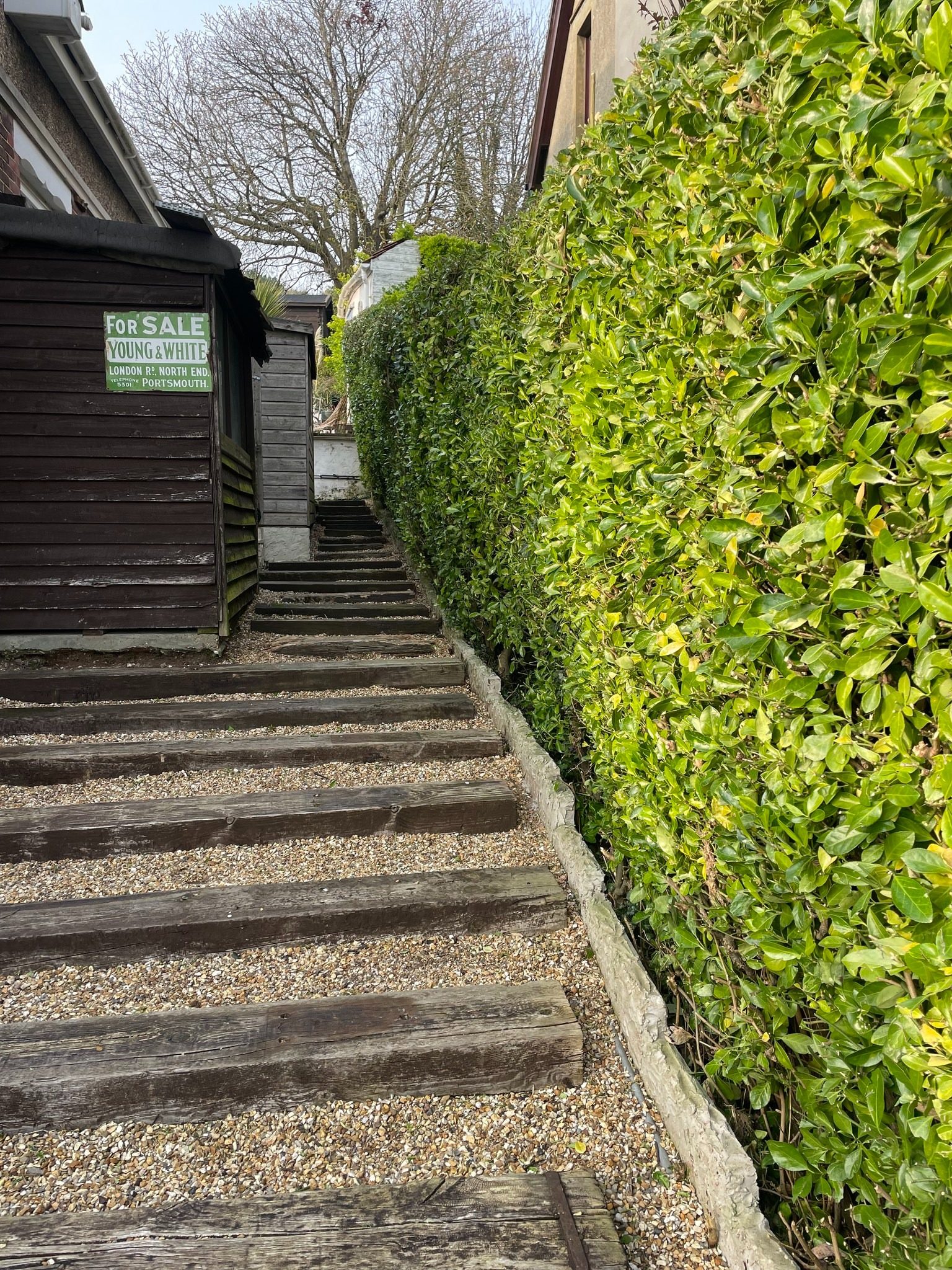 Neatly cut hedge and garden steps