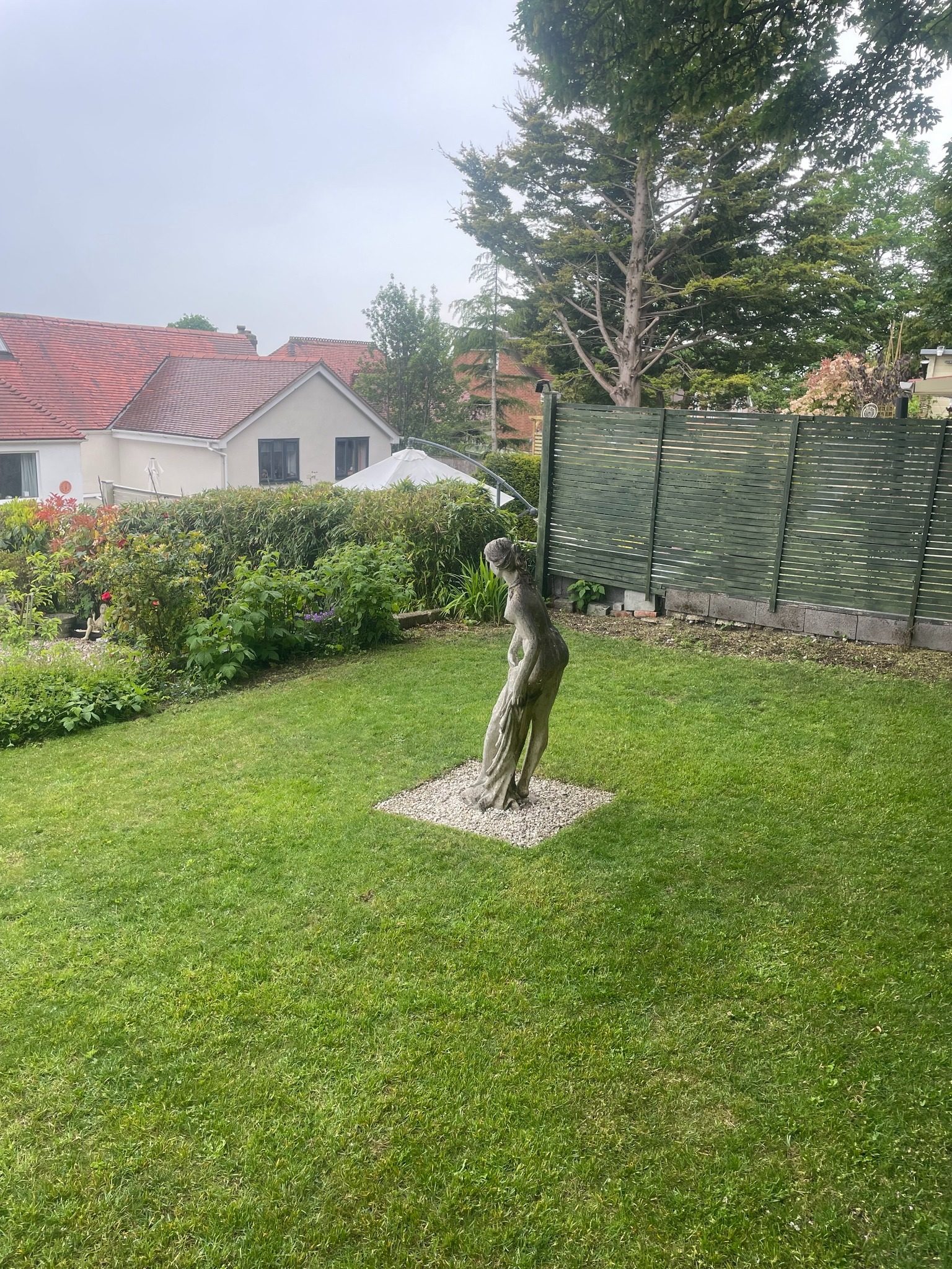 Maintained lawn